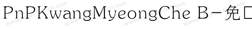 PnPKwangMyeongChe B字体转换